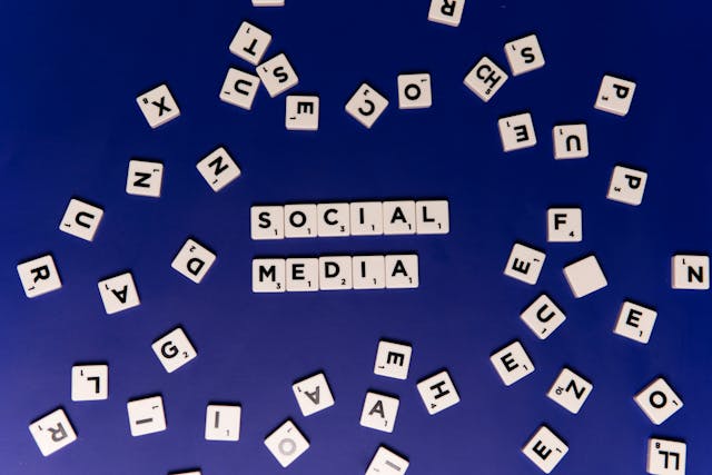 Social Media Marketing (SMM)